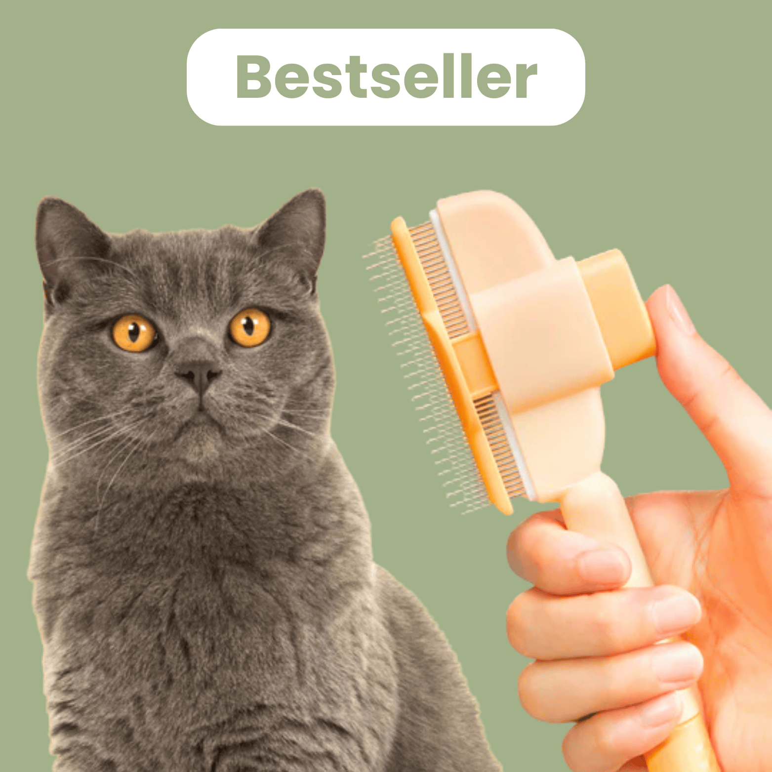Set De 8 Brosses ValueMax - Poils Laiton/nylon, Poignée Incurvée, Pour Nettoyage Et Dérouillage