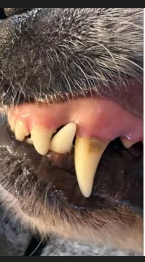 Before - <strong>Marc</strong>