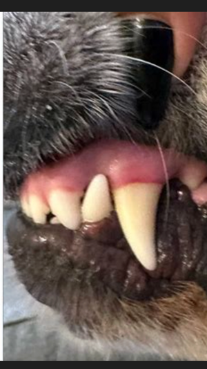 After - <strong>Marc</strong>