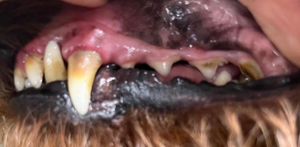 Before - <strong>Clémence</strong>