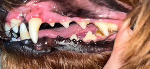 After - <strong>Clémence</strong>