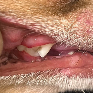 After - <strong>Romain</strong>