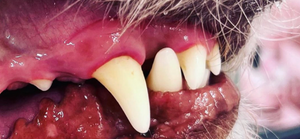 After - <strong>Sarah</strong>