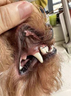 Before - <strong>Julie</strong>