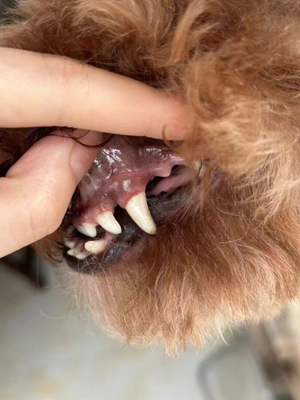 After - <strong>Julie</strong>