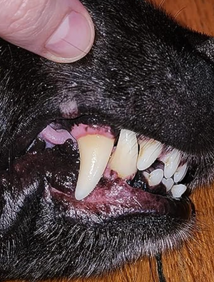 After - <strong>Élodie</strong>