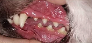 After - <strong>Clément</strong>