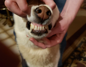 Before - <strong>Johanna</strong>