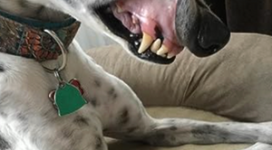 After - <strong>Johanna</strong>