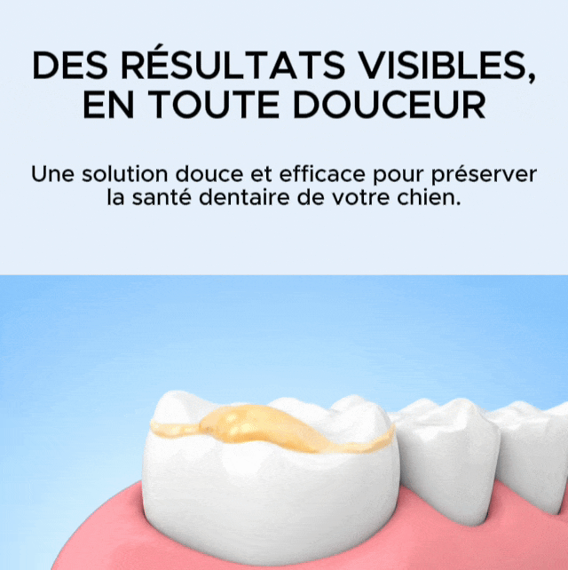 Lumea Dentex - Sonic Dental Scaler for Dogs