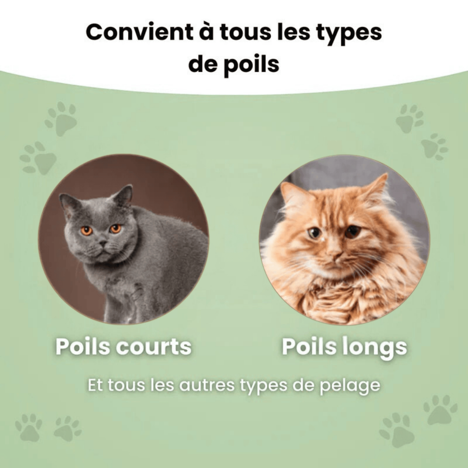 Brosse anti - poil - Luméa Swiss - Québec