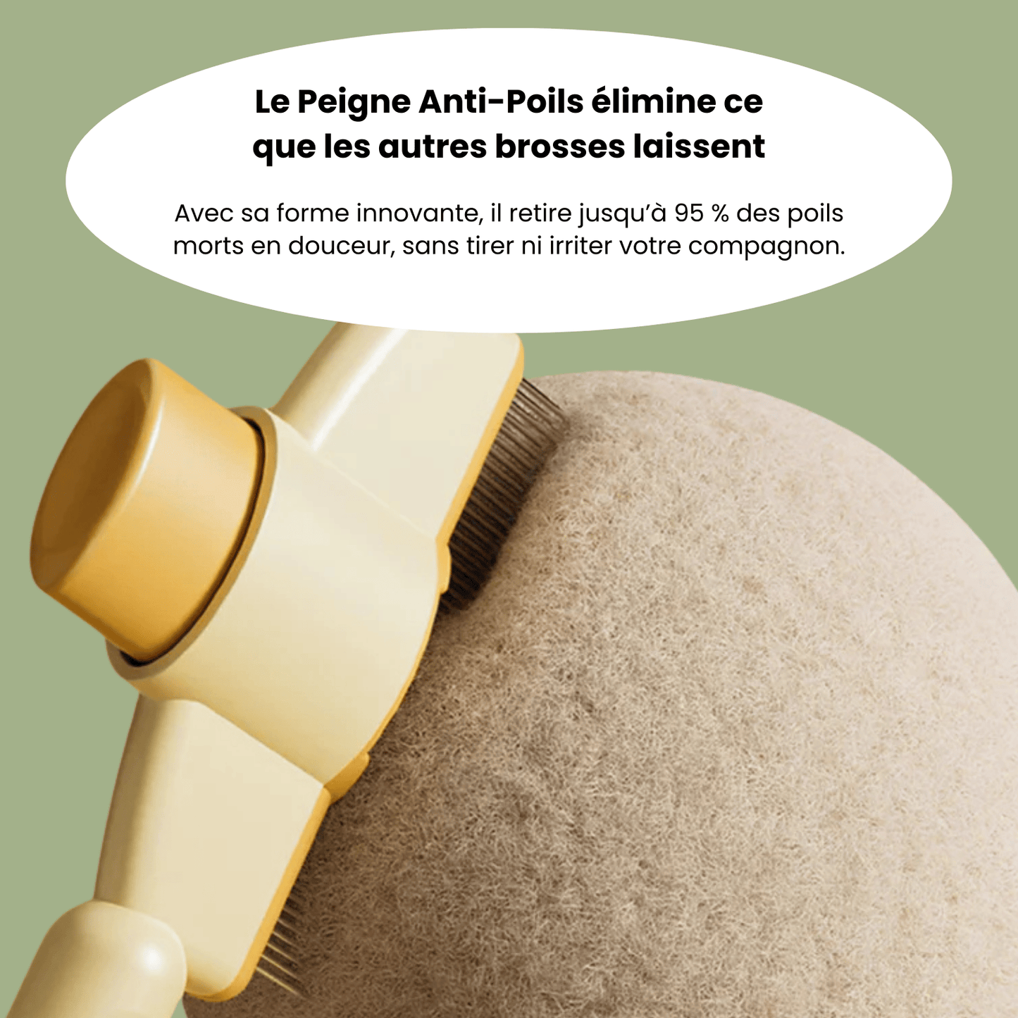 Brosse anti - poil - Luméa Swiss - Québec