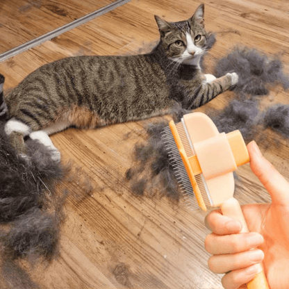 Brosse anti - poil - Luméa Swiss - Québec