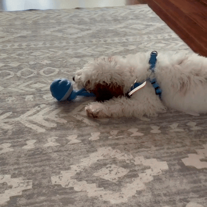 HappyPaw™ - Jouet interactif pour chien