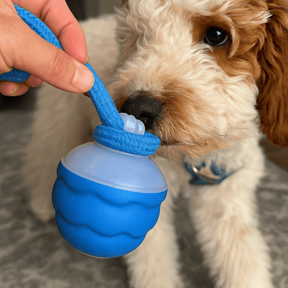 HappyPaw™ - Jouet interactif pour chien - Luméa Swiss - Québec