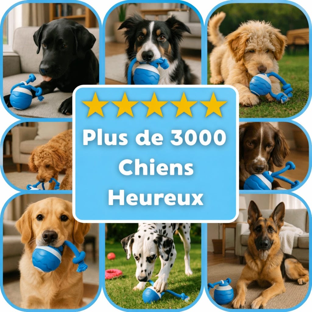 HappyPaw™ - Jouet interactif pour chien - Luméa Swiss - Québec