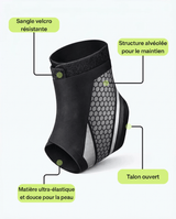 lumea-infographie