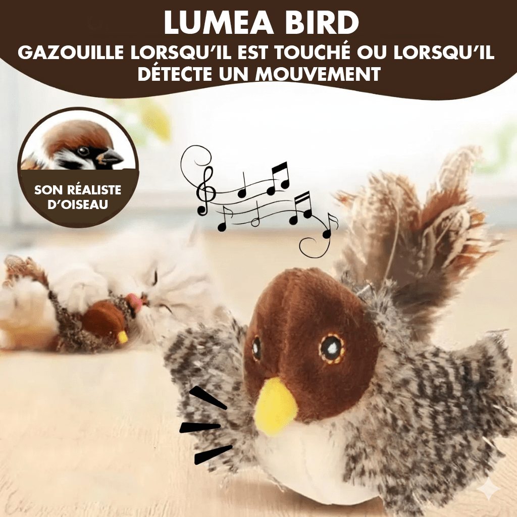 Lumea bird - Luméa Swiss - Québec