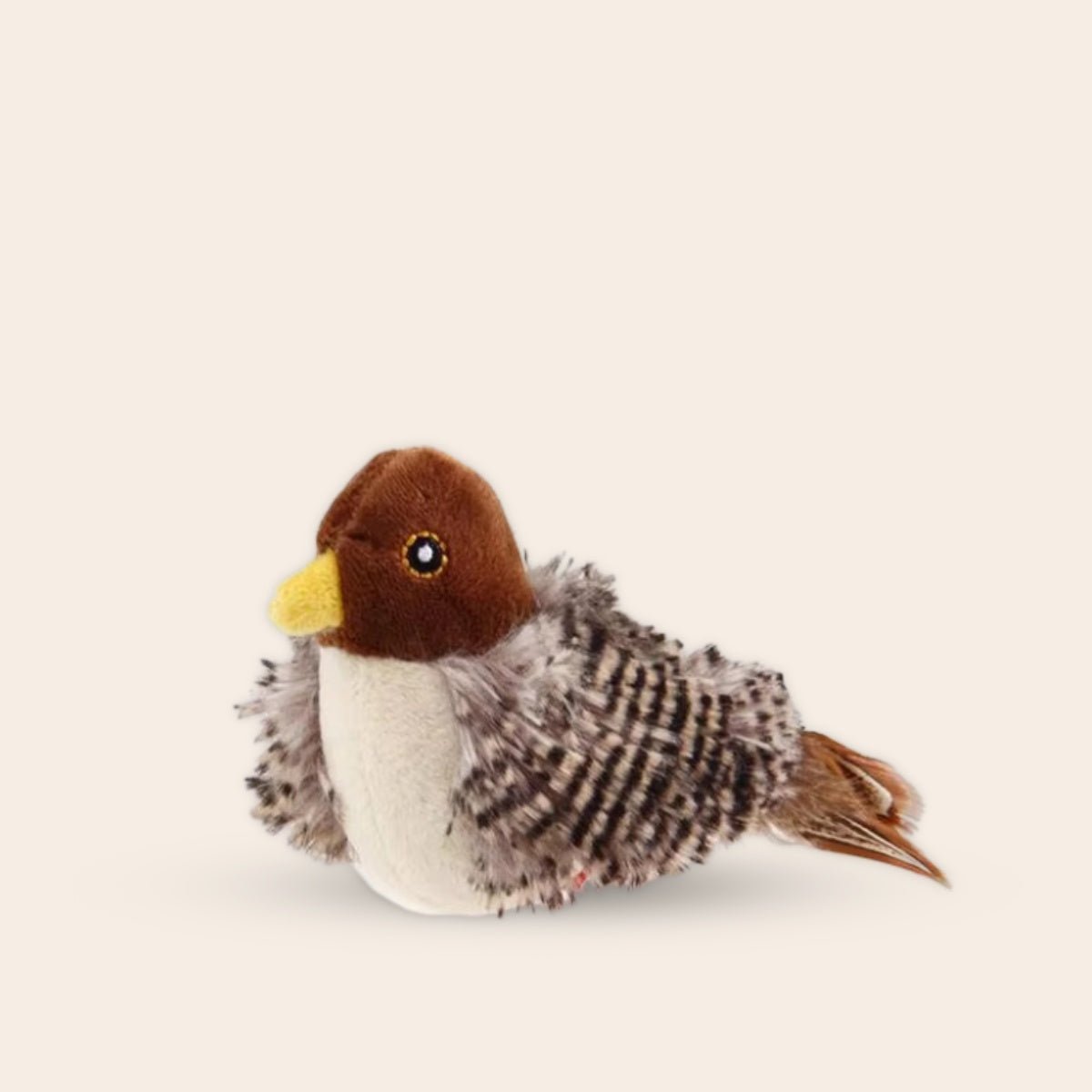 Lumea bird - Luméa Swiss - Québec