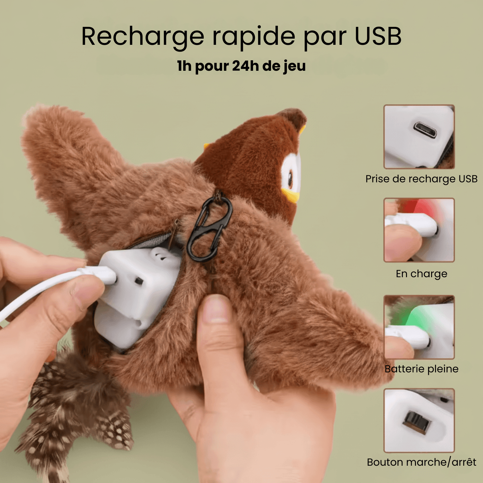 Lumea Bird - Luméa Swiss - Québec