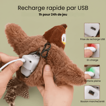 Lumea Bird - Luméa Swiss - Québec