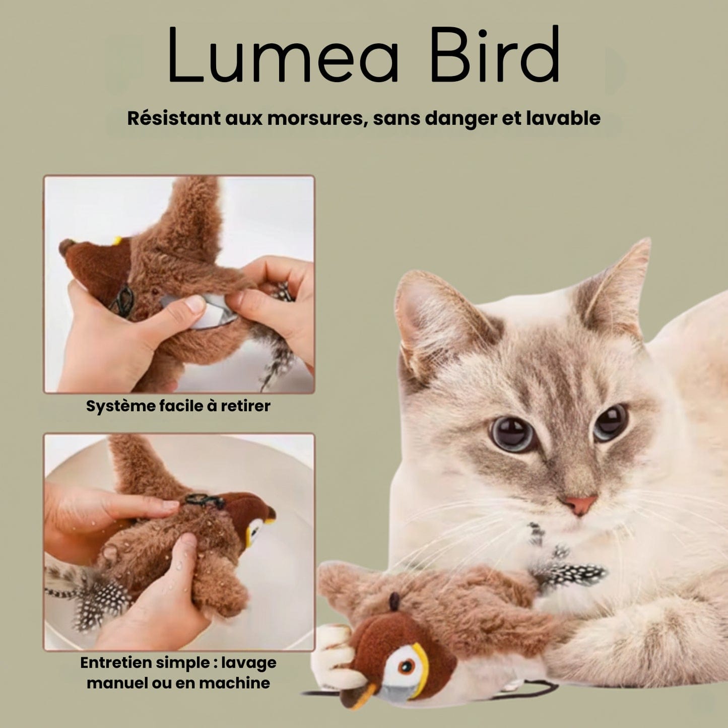 Lumea Bird - Luméa Swiss - Québec