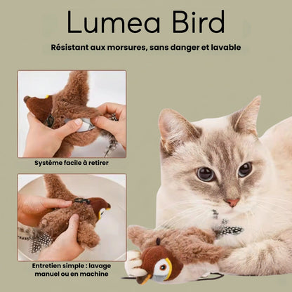 Lumea Bird - Luméa Swiss - Québec