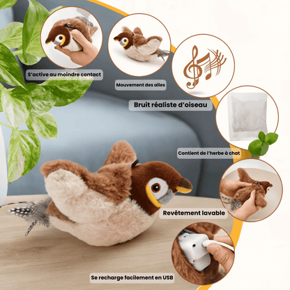 Lumea Bird - Luméa Swiss - Québec