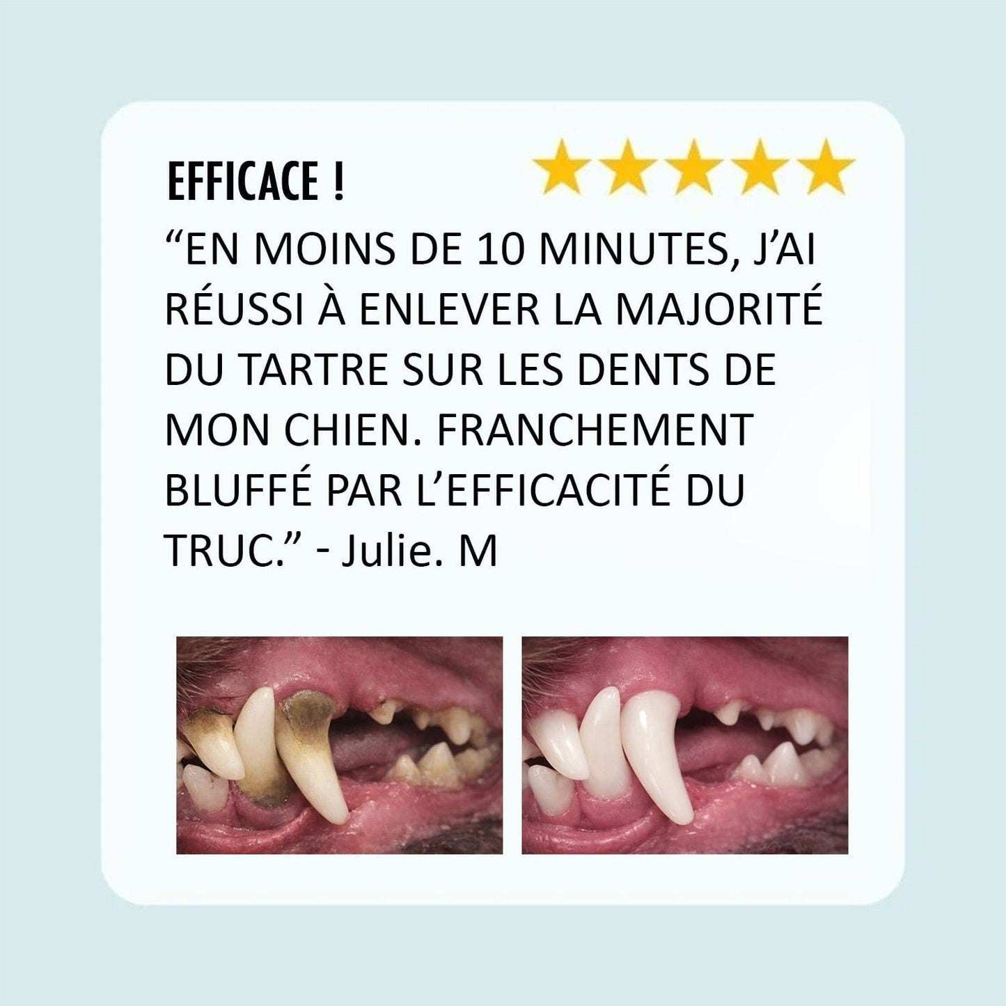 Lumea Dentex - Luméa Swiss - Québec