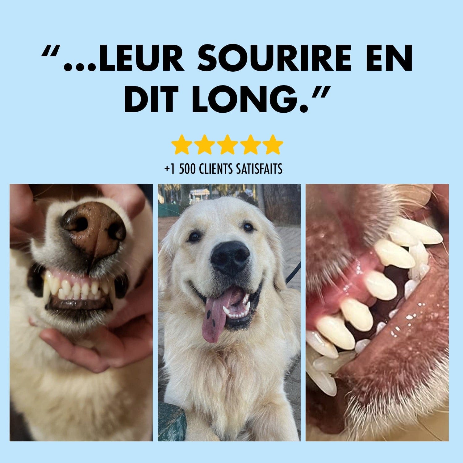 Lumea Dentex - Luméa Swiss - Québec