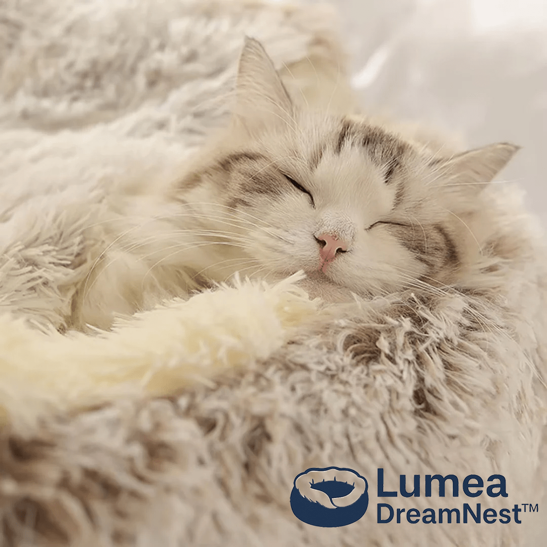 Lumea DreamNest™ - Luméa Swiss - Québec