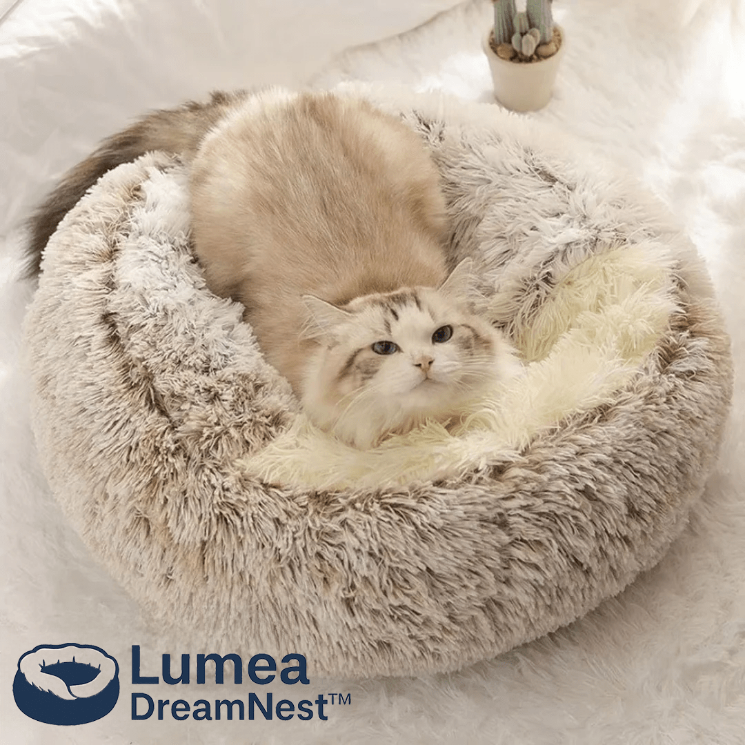 Lumea DreamNest™ - Luméa Swiss - Québec