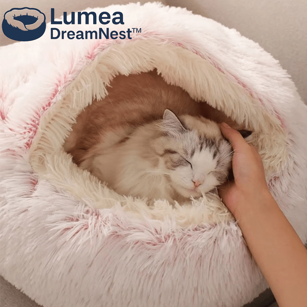 Lumea DreamNest™ - Luméa Swiss - Québec
