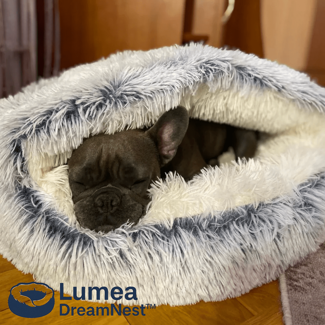 Lumea DreamNest™ - Luméa Swiss - Québec