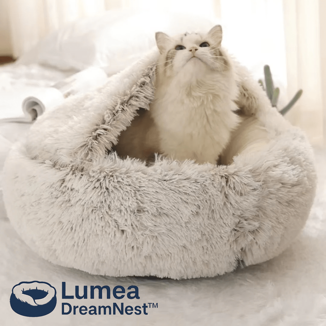 Lumea DreamNest™ - Luméa Swiss - Québec