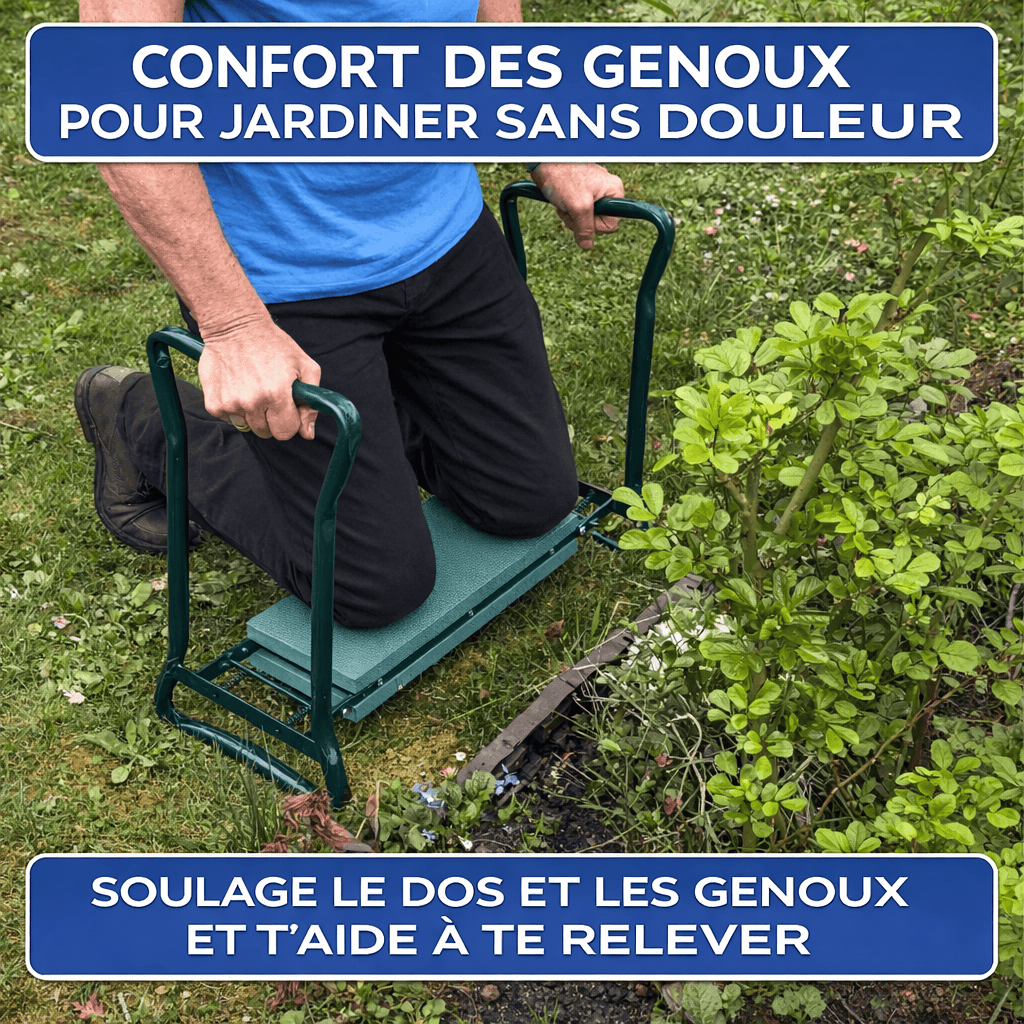 Lumea Knie - Luméa Swiss - Québec