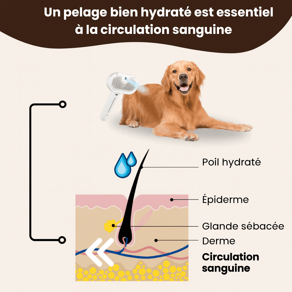Lumea SteamPet Pro - Luméa Swiss - Québec