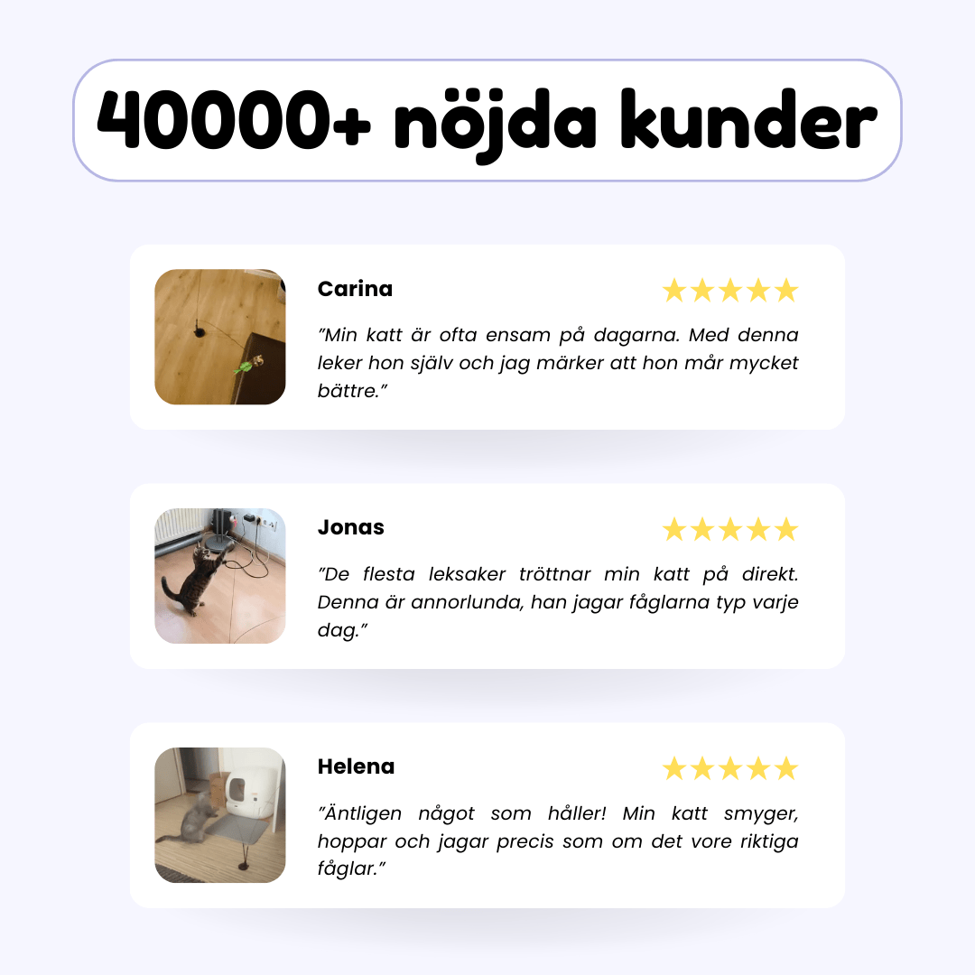 Lumea Swiftie™ — redonne à ton chat son instinct de chasseur - Luméa Swiss - Québec