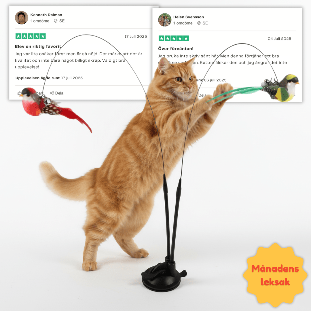 Lumea Swiftie™ — redonne à ton chat son instinct de chasseur - Luméa Swiss - Québec