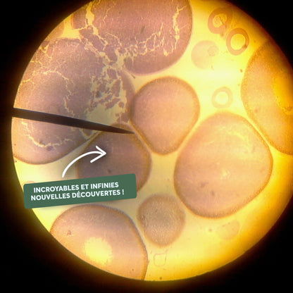 MicroExplore™ - Microscope pour enfants - Luméa Swiss - Québec