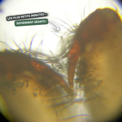 MicroExplore™ - Microscope pour enfants - Luméa Swiss - Québec