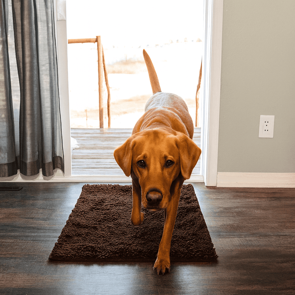 Tapis ultra - absorbant - pattes d'animaux - Luméa Swiss - Québec