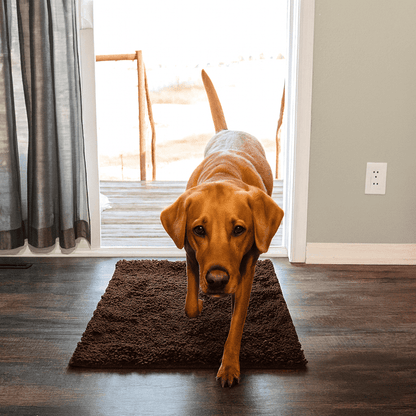 Tapis ultra - absorbant - pattes d'animaux - Luméa Swiss - Québec