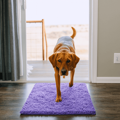 Tapis ultra - absorbant - pattes d'animaux - Luméa Swiss - Québec