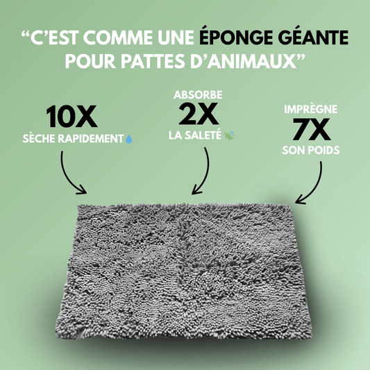 Tapis ultra - absorbant - pattes d'animaux - Luméa Swiss - Québec