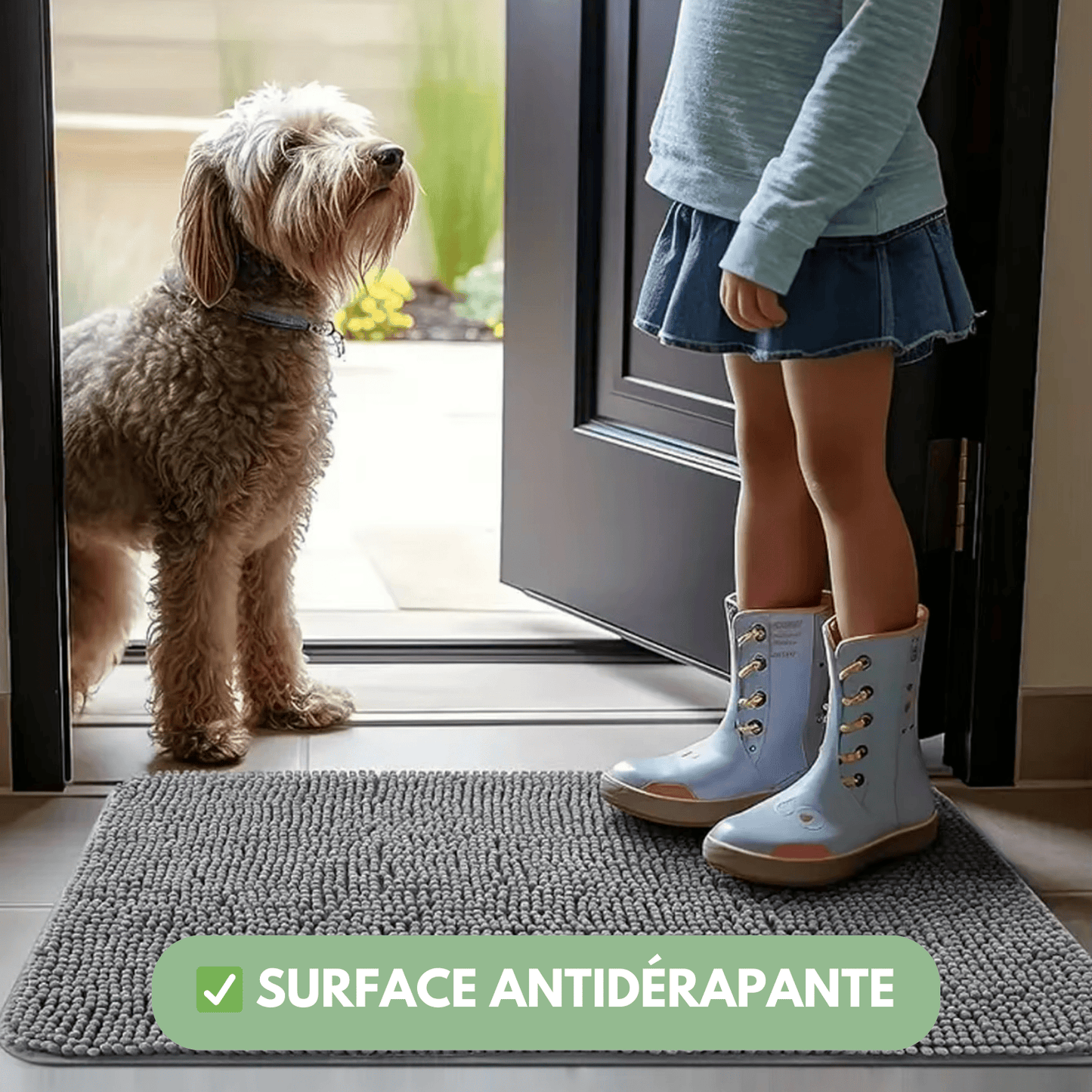 Tapis ultra - absorbant - pattes d'animaux - Luméa Swiss - Québec