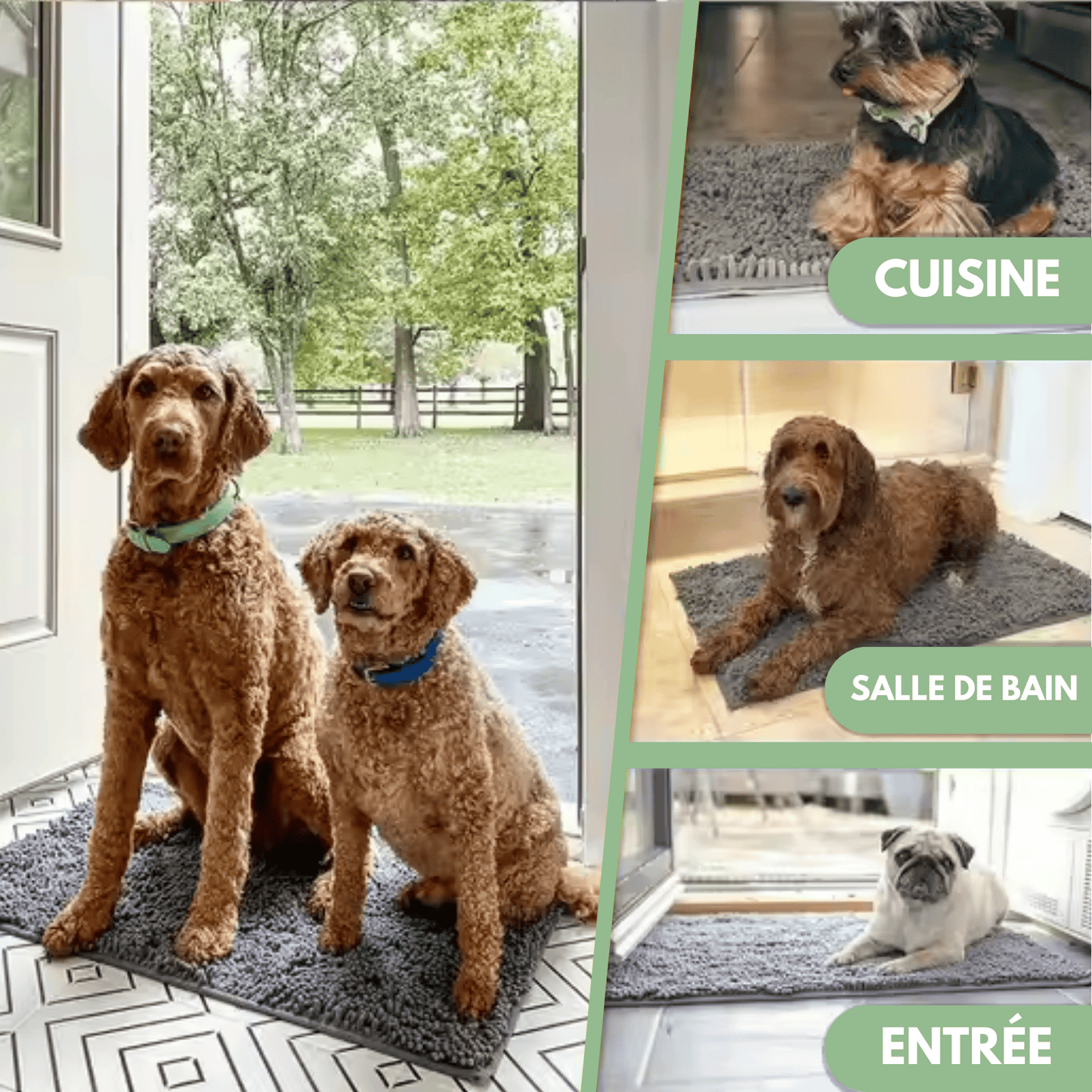 Tapis ultra - absorbant - pattes d'animaux - Luméa Swiss - Québec