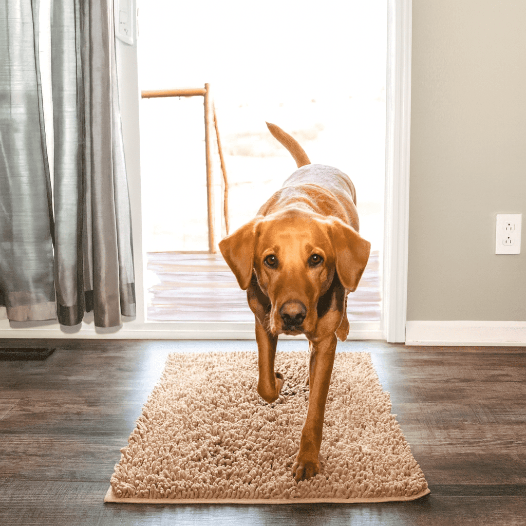 Tapis ultra - absorbant - pattes d'animaux - Luméa Swiss - Québec
