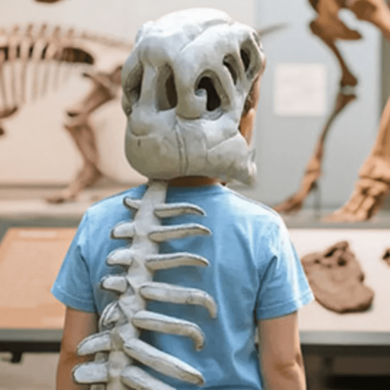 TransformaSaurus™ – Tenue Dino en Peluche - Luméa Swiss - Québec